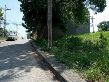 164 Sqm Residential Lot for Sale in Lamac Consolacion Cebu