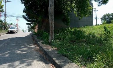 164 Sqm Residential Lot for Sale in Lamac Consolacion Cebu