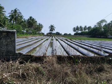 DIJUAL CEPAT Tanah di Panimbang Banten 1.5 Ha PINGGIR JALAN