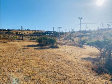Se Vende Parcela 8400m2 Las Acacias 2 El Maitén Sur Illapel