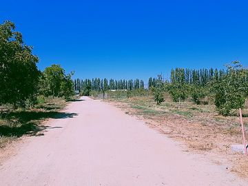 PAINE- HUELQUÉN