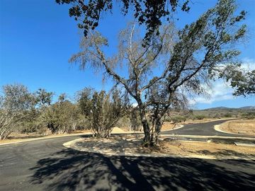 Sitio en Venta en Exclusivo sitio 27 en Condominio VALLE OCULTO, Catapilco, Zapallar