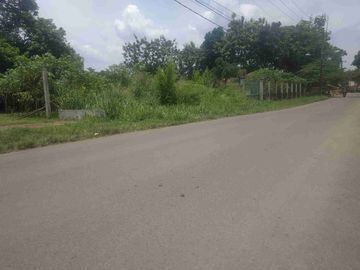 Spesial! Bayar Tunai Kapling Ciseeng Diskon Khusus
