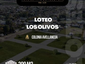 NUEVO LOTEO  âLOS OLIVOSâ EN EL MEJOR PUNTO DE COLONIA AVELLANEDA