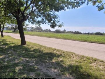 NUEVO LOTEO  âLOS OLIVOSâ EN EL MEJOR PUNTO DE COLONIA AVELLANEDA