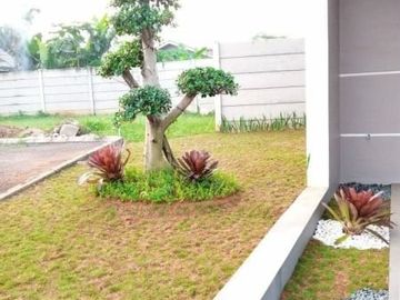 Cari Rumah di Serpong? Disini Aja Yuk Lagi Promo!