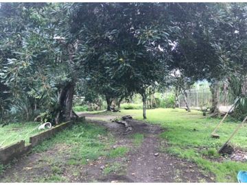 VENDO CASAS COMERCIALES EN VOLCAN