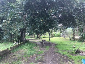 VENDO CASAS COMERCIALES EN VOLCAN
