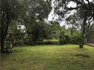 VENDO CASAS COMERCIALES EN VOLCAN