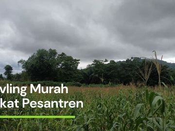 Tanah Cuma 5 Juta angsuran 1 Jutaan Per Bulan
