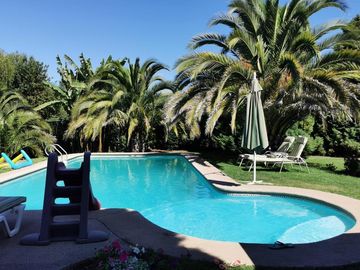 Vendo Hermosa Parcela En Quillon