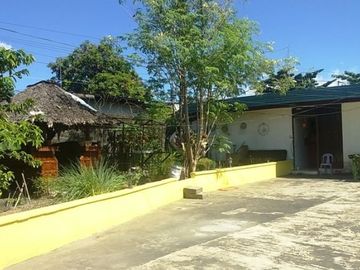 Commercial Lot with Improvements Locate in Malabanias A.C.