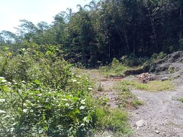 Tanah Sleman Bagus Banget di Wonokerto: Pekarangan