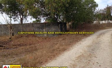 Titled Residential Property in San Juan, La Union