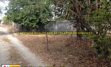 Titled Residential Property in San Juan, La Union