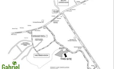 Most Affordable Townhouse in Robin's Lane Consolacion