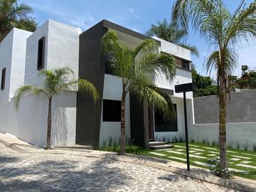 Lomas de la selva