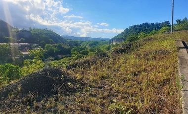Affordable 108 SQM SUBDIVISION LOT for Sale in ASPEN HEIGHTS CONSOLACION CEBU