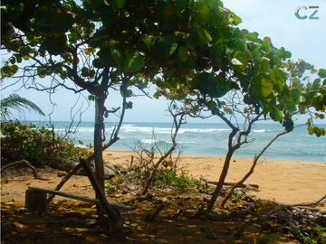 Finca de Playa con Frente de mar - Costa Arriba de Colon, Palenque