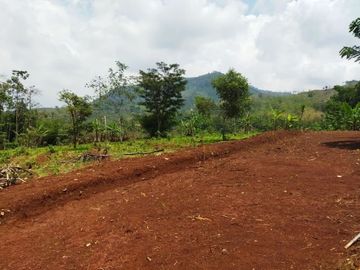 Tanah Murah Areal Cicalengka Kavlingan 100 Jutaan
