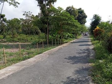 Dijual BU Tanah Pekarangan di Sokomarto, Donokerto, Turi