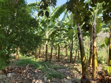 Terreno en vilcabamba