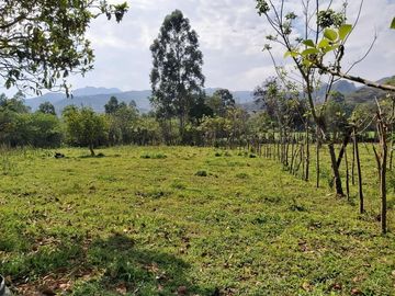 Terreno en vilcabamba