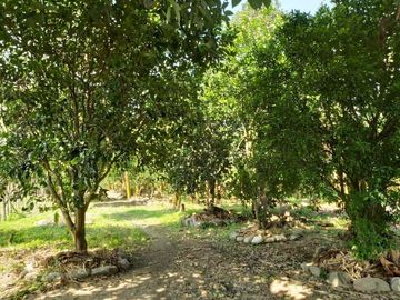 Terreno en vilcabamba