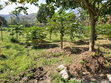 Terreno en vilcabamba