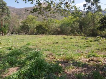 Terreno en vilcabamba