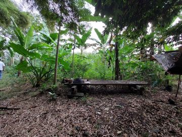 Dijual tanah dalam cluster rafless Hill Cibubur