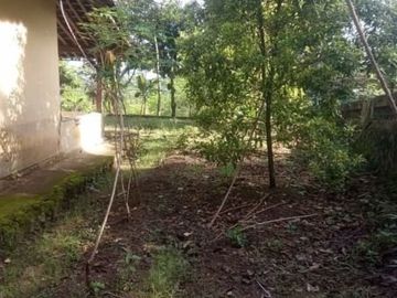Tanah karangpandan 625m 200jt bonus bangunan