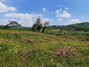 Jual Kapling Pangkah, Tegal: Row Jalan 5 Mater