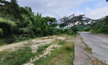 168 SQM READY FOR BUILDING Lot for Sale in GREENWOODS SUBDIVISION near Talamban Cebu City
