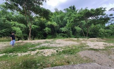 168 SQM READY FOR BUILDING Lot for Sale in GREENWOODS SUBDIVISION near Talamban Cebu City