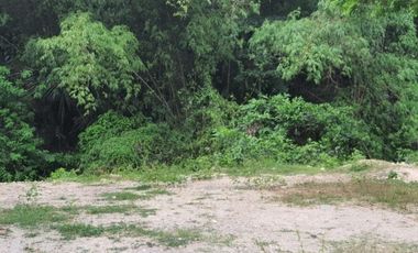 168 SQM READY FOR BUILDING Lot for Sale in GREENWOODS SUBDIVISION near Talamban Cebu City