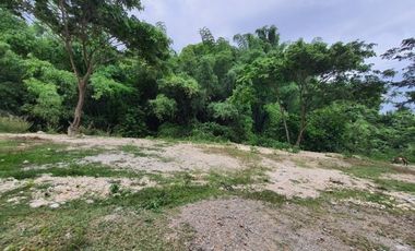 168 SQM READY FOR BUILDING Lot for Sale in GREENWOODS SUBDIVISION near Talamban Cebu City