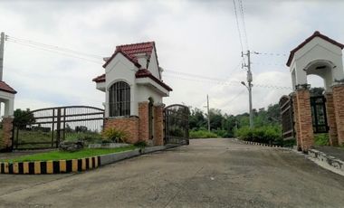168 SQM READY FOR BUILDING Lot for Sale in GREENWOODS SUBDIVISION near Talamban Cebu City