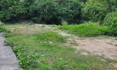 168 SQM READY FOR BUILDING Lot for Sale in GREENWOODS SUBDIVISION near Talamban Cebu City