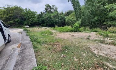168 SQM READY FOR BUILDING Lot for Sale in GREENWOODS SUBDIVISION near Talamban Cebu City