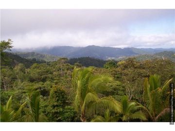 Venta: Finca de 525,000 m2 en Cerro Azul