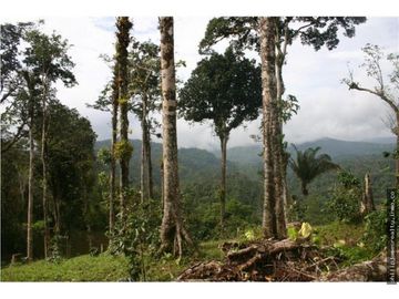 Venta: Finca de 525,000 m2 en Cerro Azul