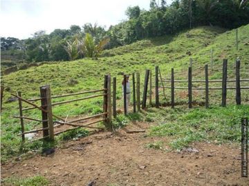 Venta: Finca de 525,000 m2 en Cerro Azul