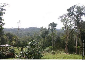 Venta: Finca de 525,000 m2 en Cerro Azul