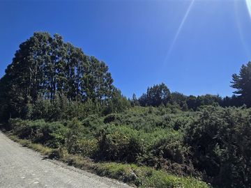 Parcela en venta en Puerto Varas