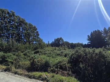 Parcela en venta en Puerto Varas