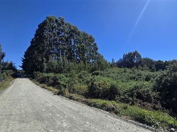 Parcela en venta en Puerto Varas