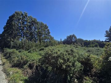 Parcela en venta en Puerto Varas
