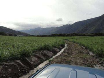 Venta de Propiedad de 66 hectáreas en Salinas de Ibarra