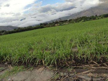 Venta de Propiedad de 66 hectáreas en Salinas de Ibarra